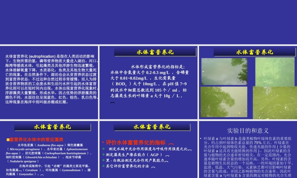 富营养化水体中藻类的测定叶绿素a法.ppt