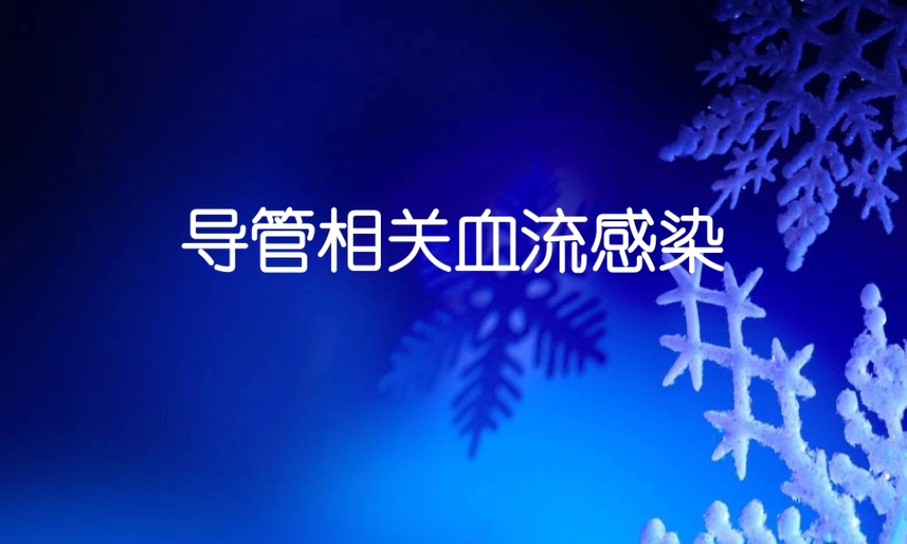 导管相关性血流感染.ppt