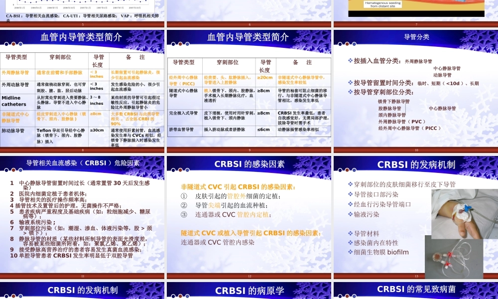 导管相关性血流感染.ppt
