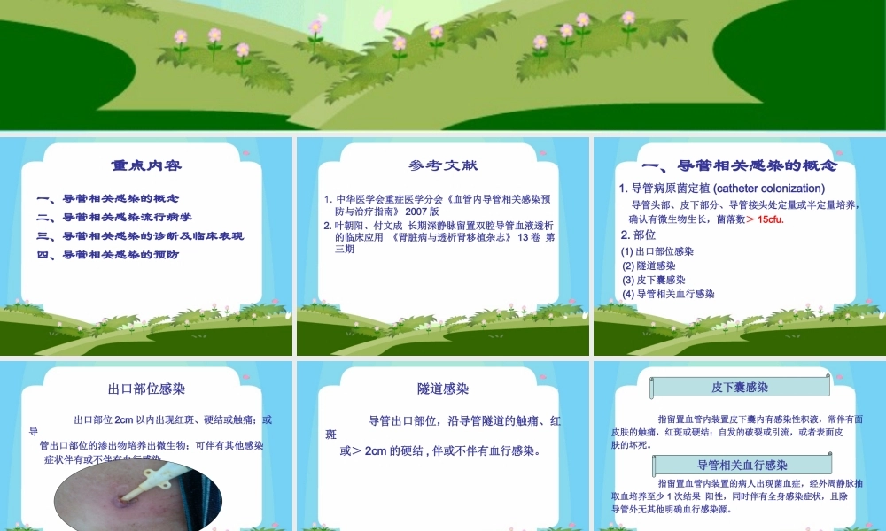 导管相关感染.ppt