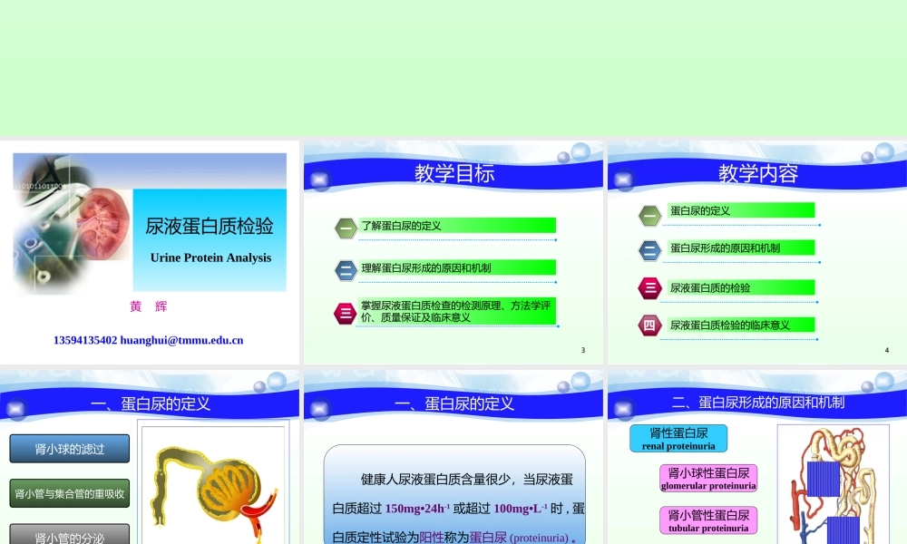 尿液蛋白质检验一.ppt