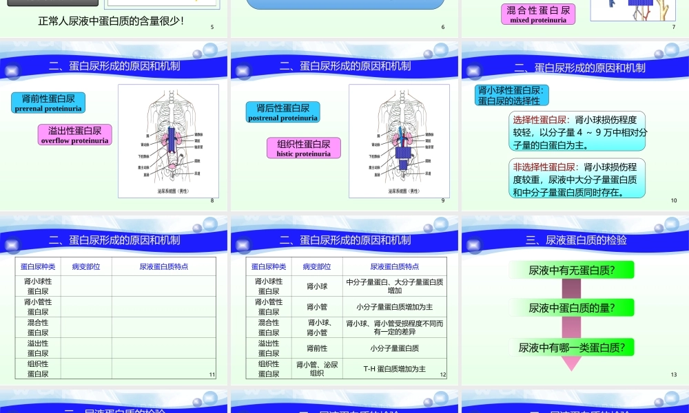尿液蛋白质检验一.ppt