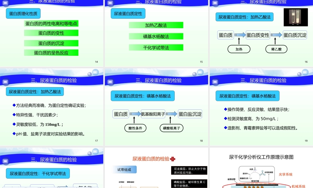 尿液蛋白质检验一.ppt