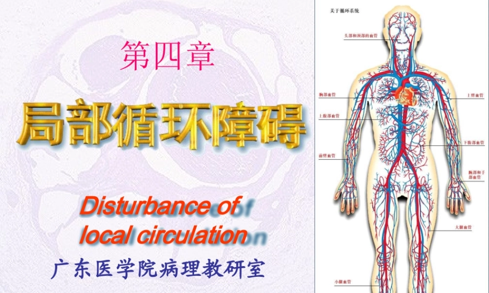 局部血液及体液循环障碍.ppt