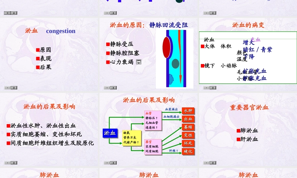 局部血液及体液循环障碍.ppt