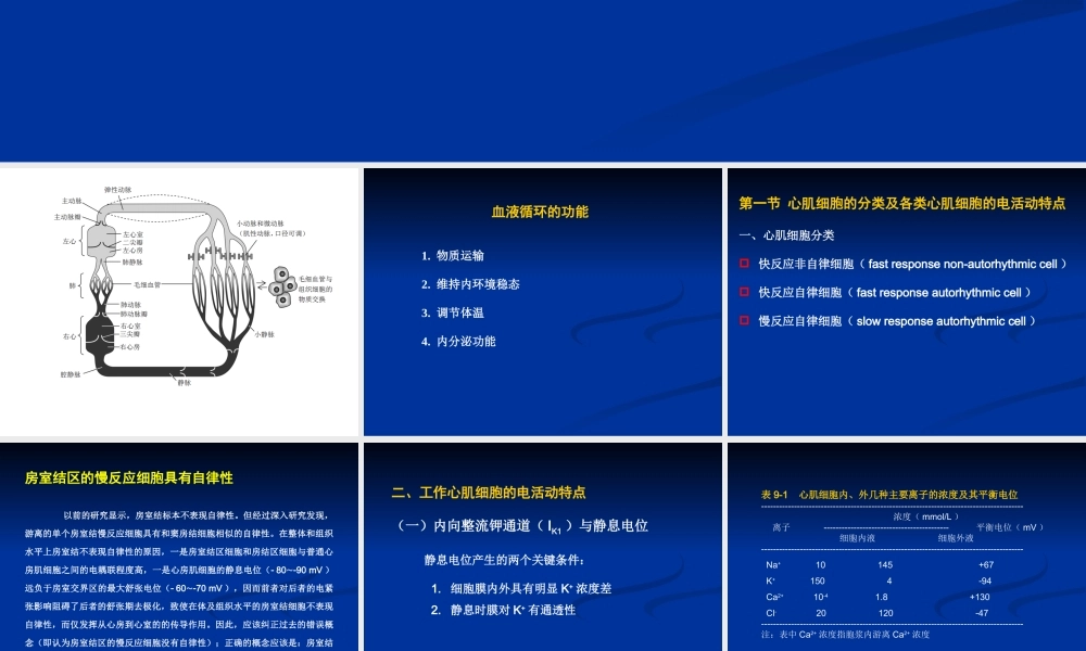 工作心肌细胞的动作电位.ppt