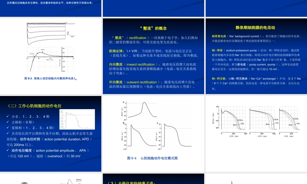 工作心肌细胞的动作电位.ppt
