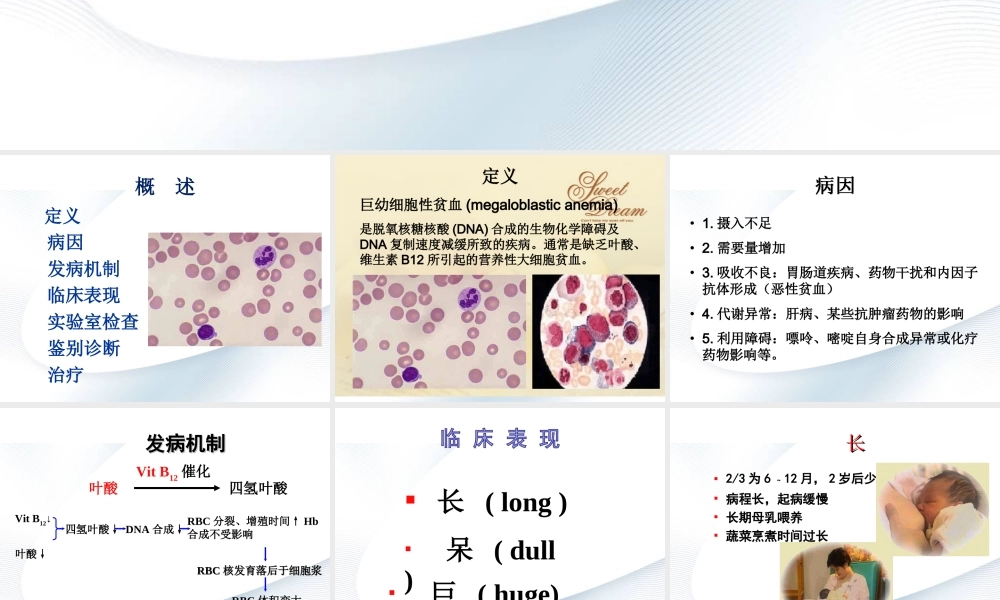巨幼细胞性贫血.ppt