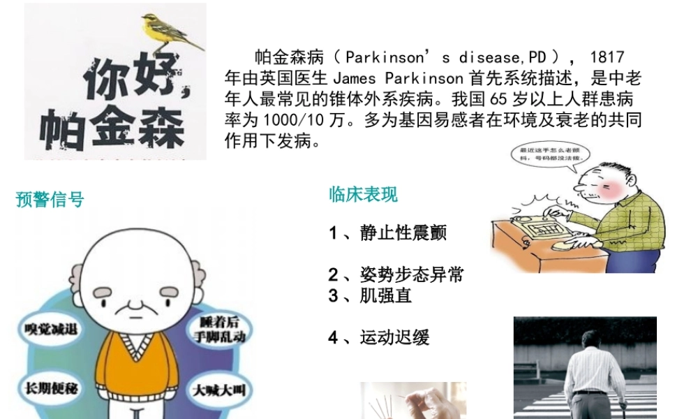 帕金森病科普PPT.ppt
