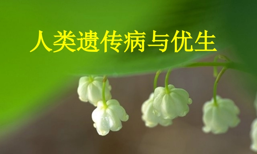 常染色体隐性遗传病.ppt