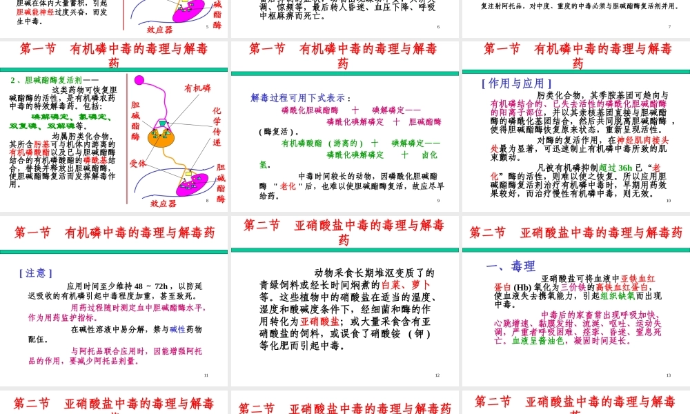 常见中毒及解救.ppt