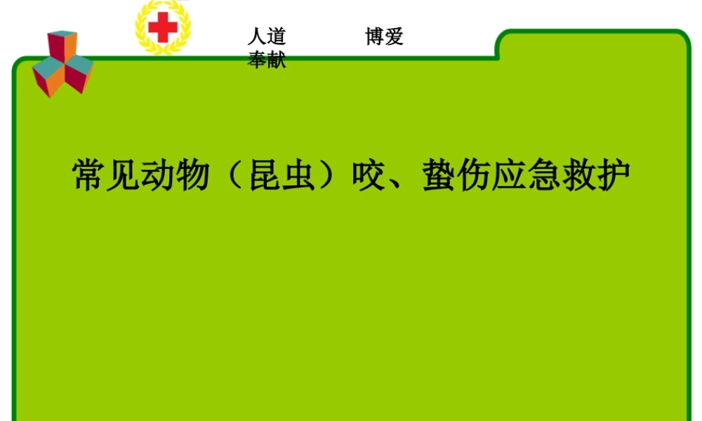 常见动物(昆虫)咬蛰伤应急救护讲义.ppt