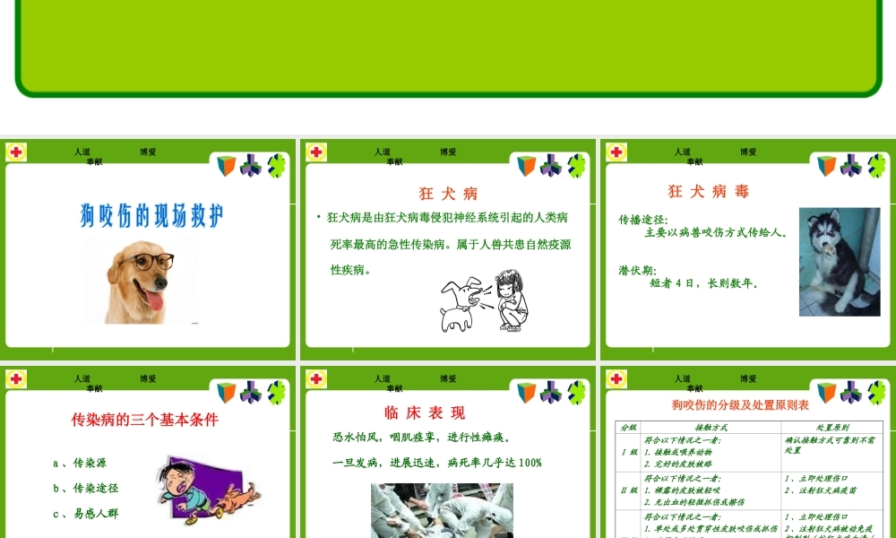 常见动物(昆虫)咬蛰伤应急救护讲义.ppt