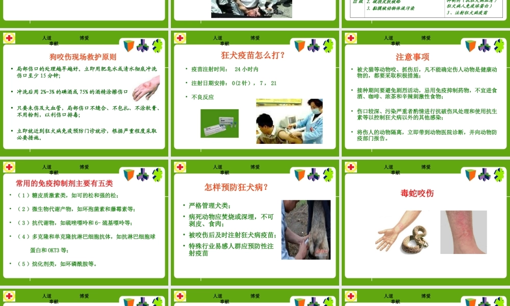 常见动物(昆虫)咬蛰伤应急救护讲义.ppt
