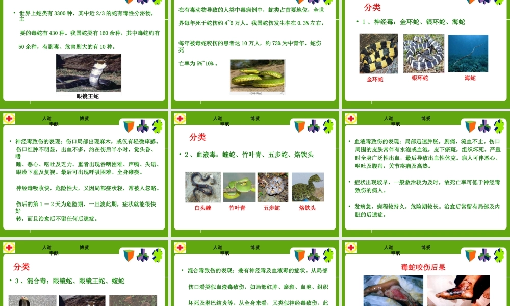 常见动物(昆虫)咬蛰伤应急救护讲义.ppt