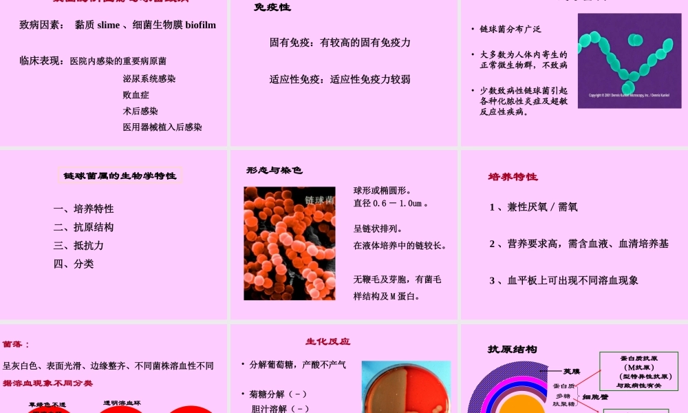 常见致病菌-1.ppt