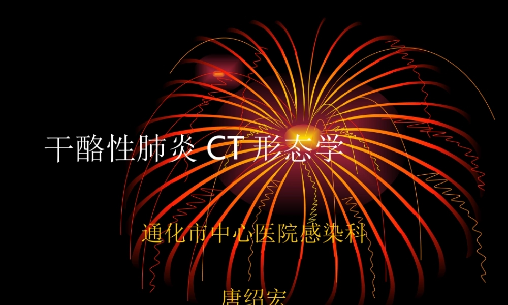 干酪性肺炎CT形态.ppt