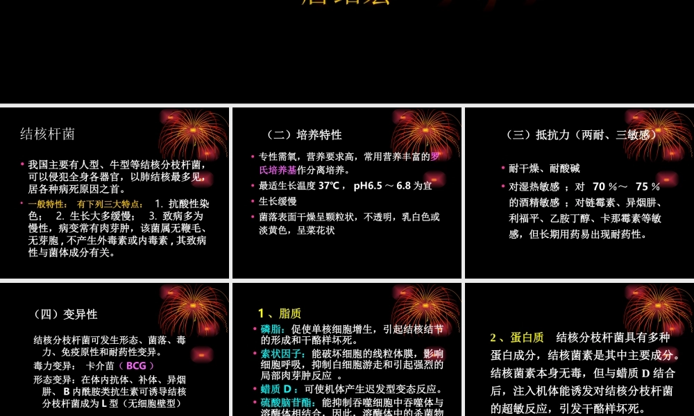 干酪性肺炎CT形态.ppt