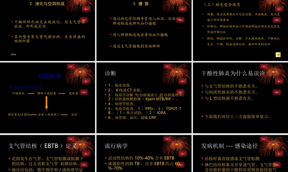 干酪性肺炎CT形态.ppt