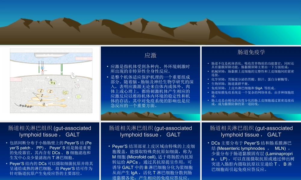 应激与肠道粘膜免疫耐受.ppt