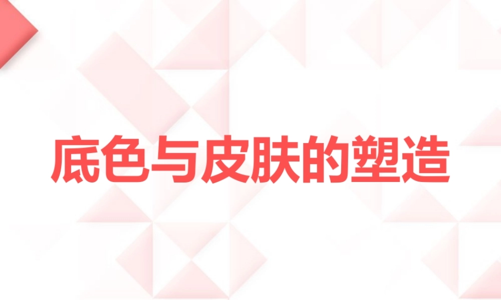底色与皮肤的塑造..ppt