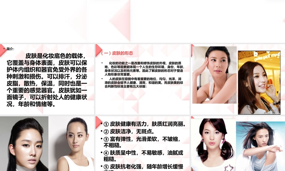 底色与皮肤的塑造..ppt