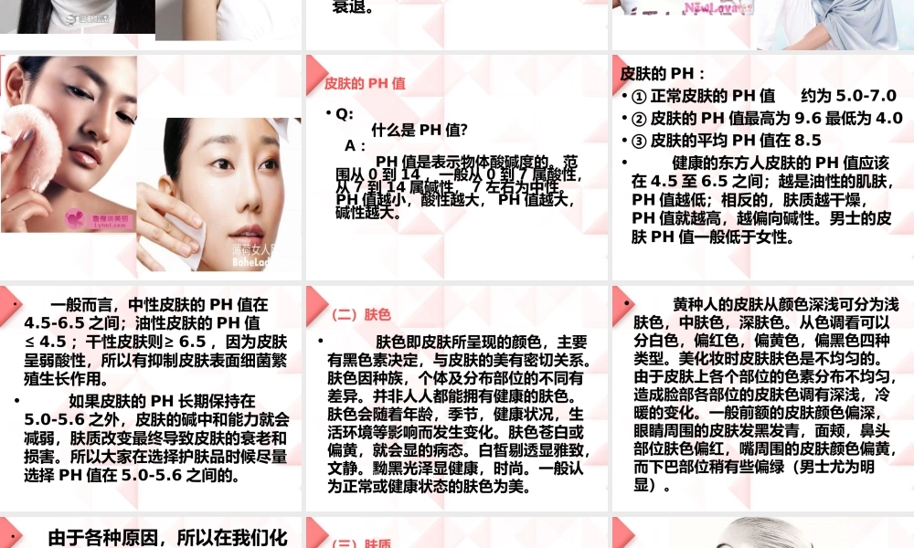 底色与皮肤的塑造..ppt