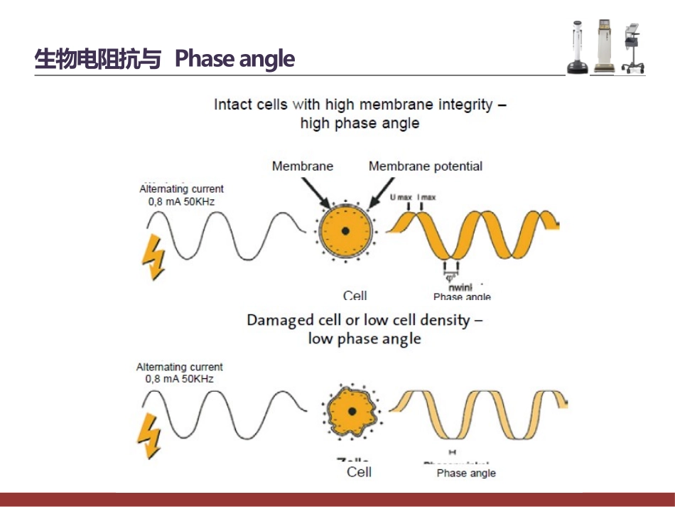 相位角及华法林在营养支持中的运用.pptx_第2页