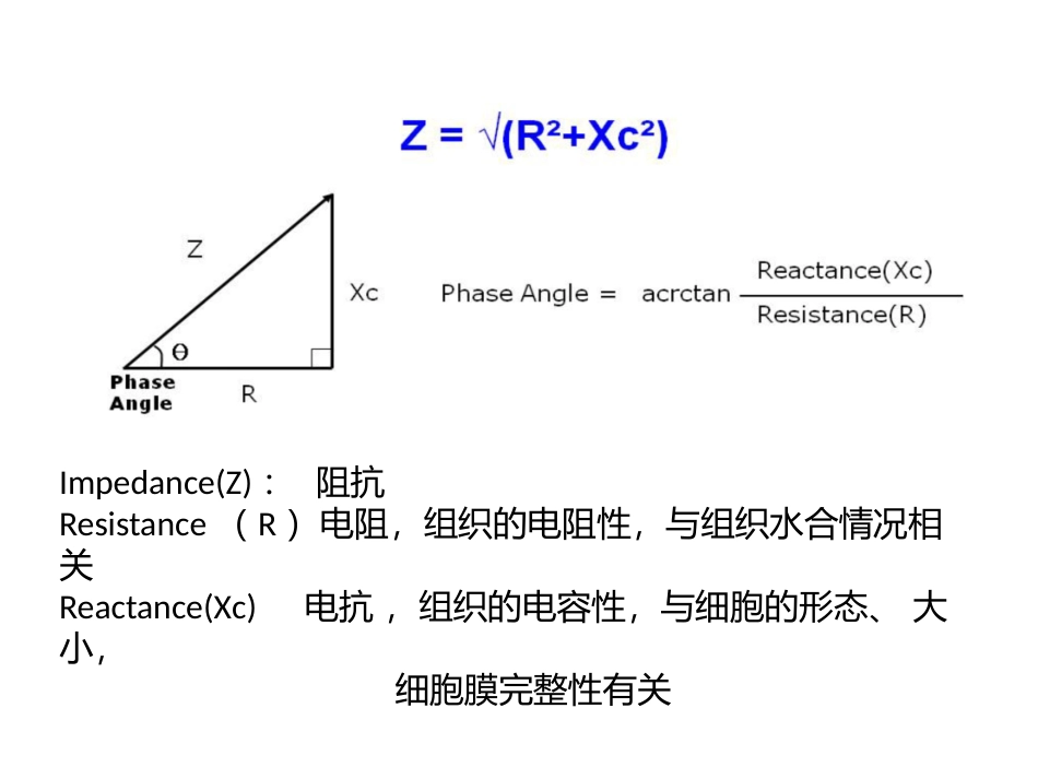 相位角及华法林在营养支持中的运用.pptx_第3页