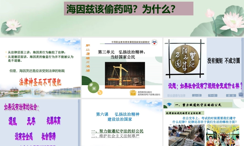 弘扬法治精神-建设法治国家.ppt