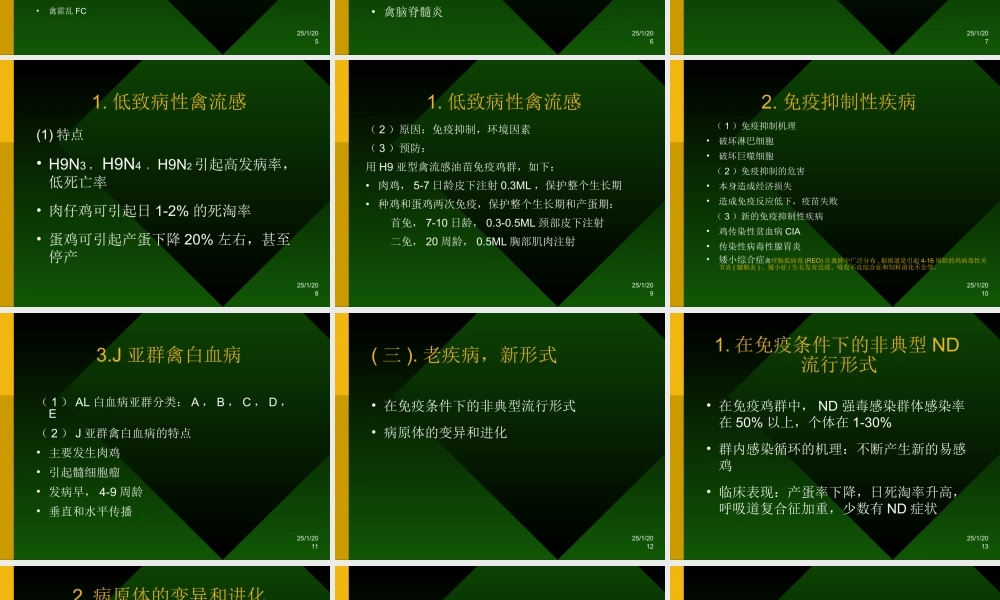 当前禽病.ppt