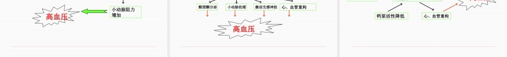 循环系统之高血压.pptx