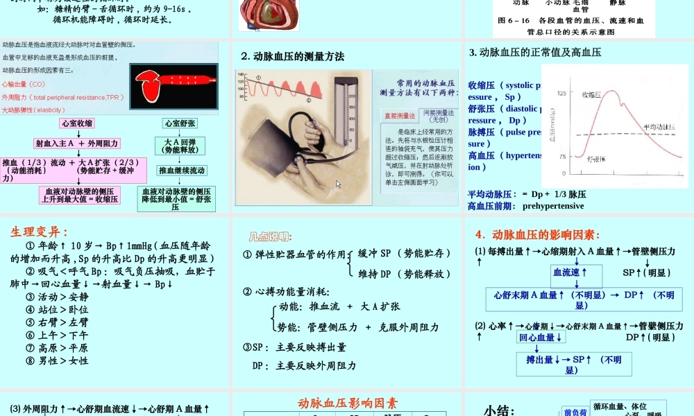 循环3血管生理.ppt