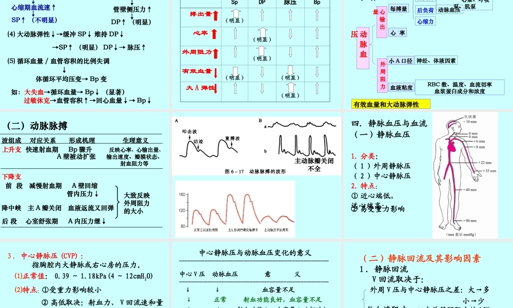循环3血管生理.ppt