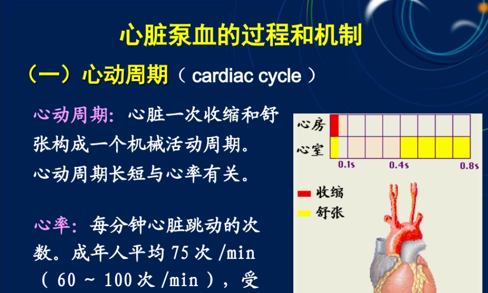 循环系统心泵血过程.ppt