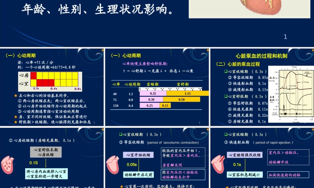 循环系统心泵血过程.ppt