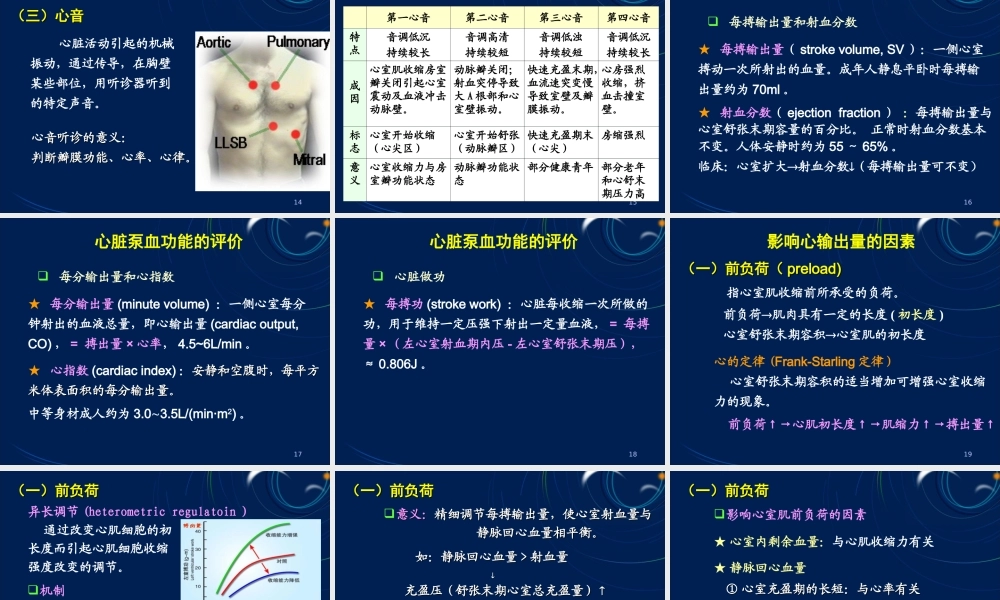 循环系统心泵血过程.ppt