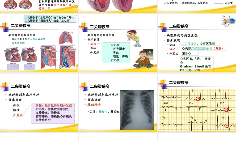循环系统第6节-心脏瓣膜病.ppt