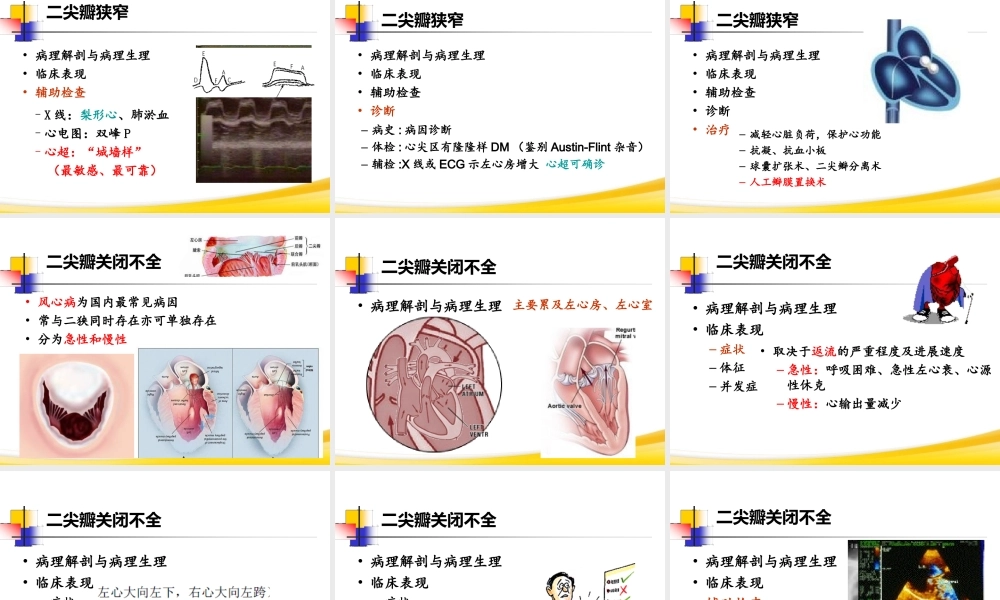 循环系统第6节-心脏瓣膜病.ppt