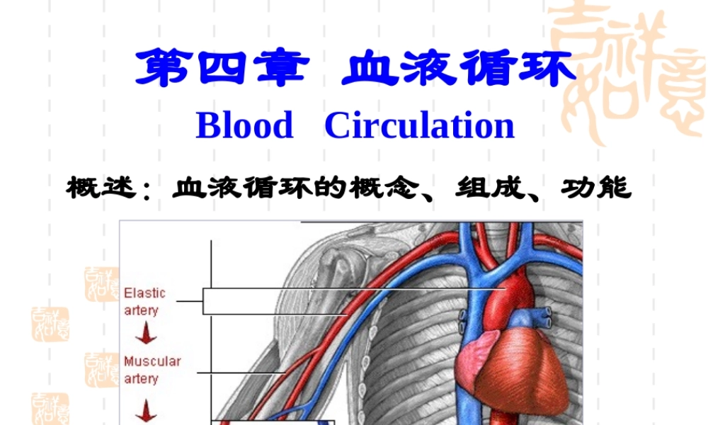 心脏生理(14护本-new)资料.ppt