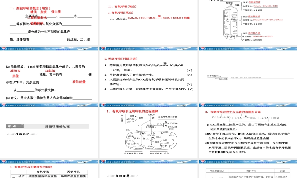 必修--第三单元--第三讲--细胞呼吸.ppt