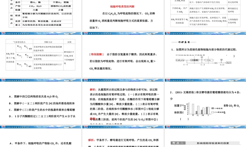 必修--第三单元--第三讲--细胞呼吸.ppt