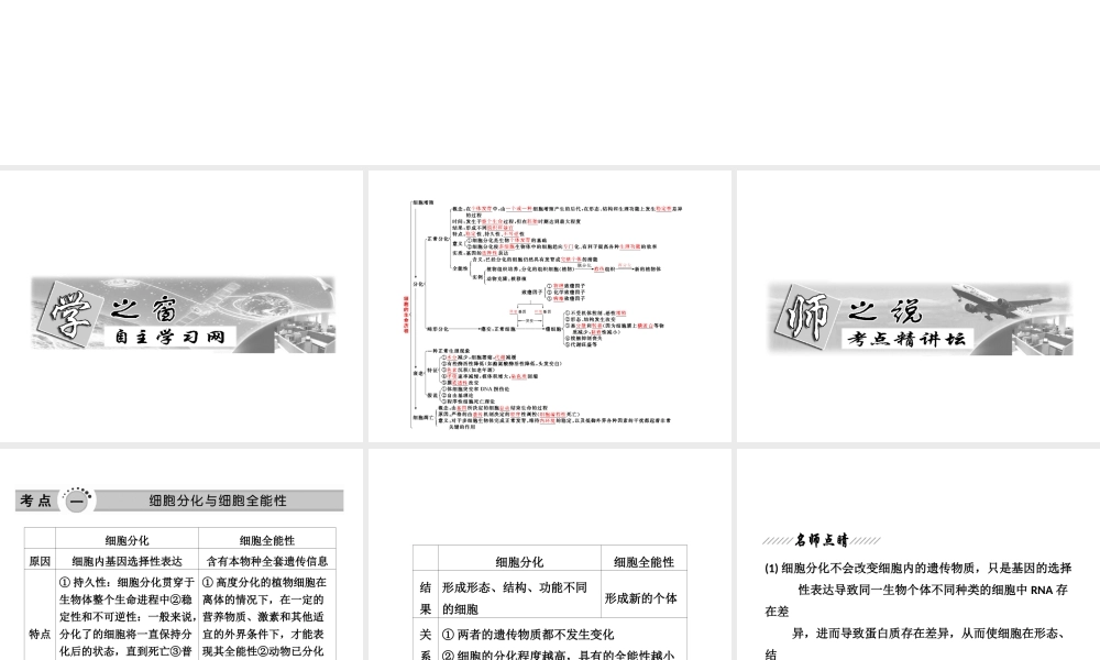必修1--第五单元--第二讲--细胞的分化、衰老、凋亡和癌变.ppt