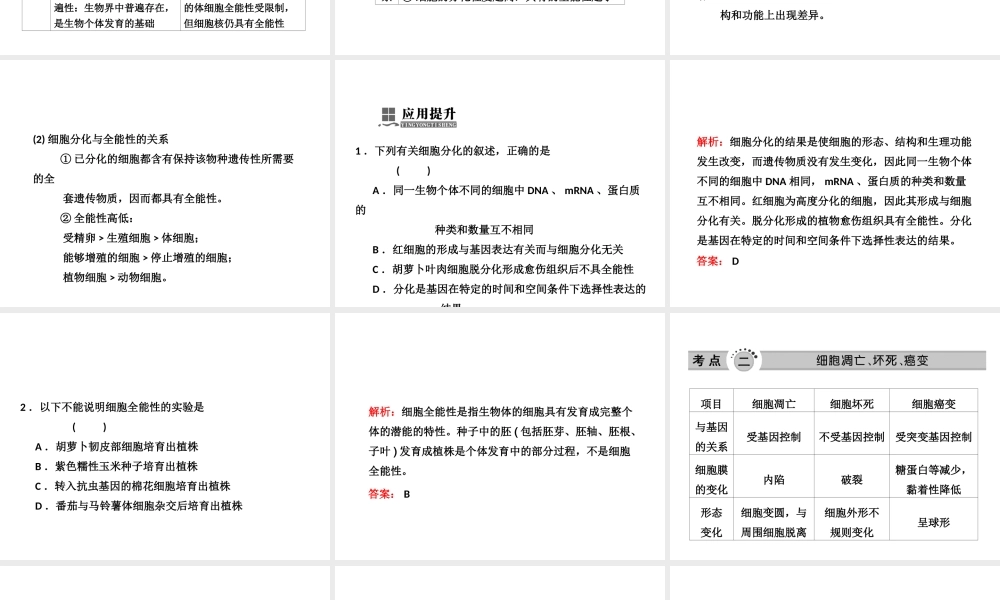 必修1--第五单元--第二讲--细胞的分化、衰老、凋亡和癌变.ppt