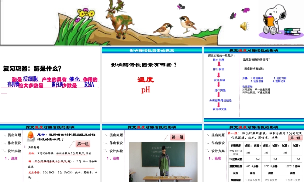 必修1-分子与细胞-二-酶的特性-(1).ppt