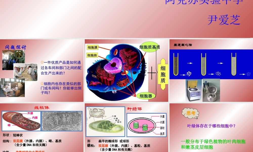 必修1-分子与细胞-第2节-细胞器──系统内的分工合作-(1).ppt
