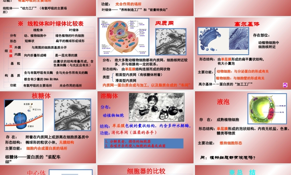 必修1-分子与细胞-第2节-细胞器──系统内的分工合作-(1).ppt