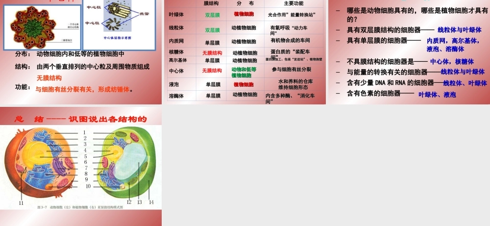 必修1-分子与细胞-第2节-细胞器──系统内的分工合作-(1).ppt