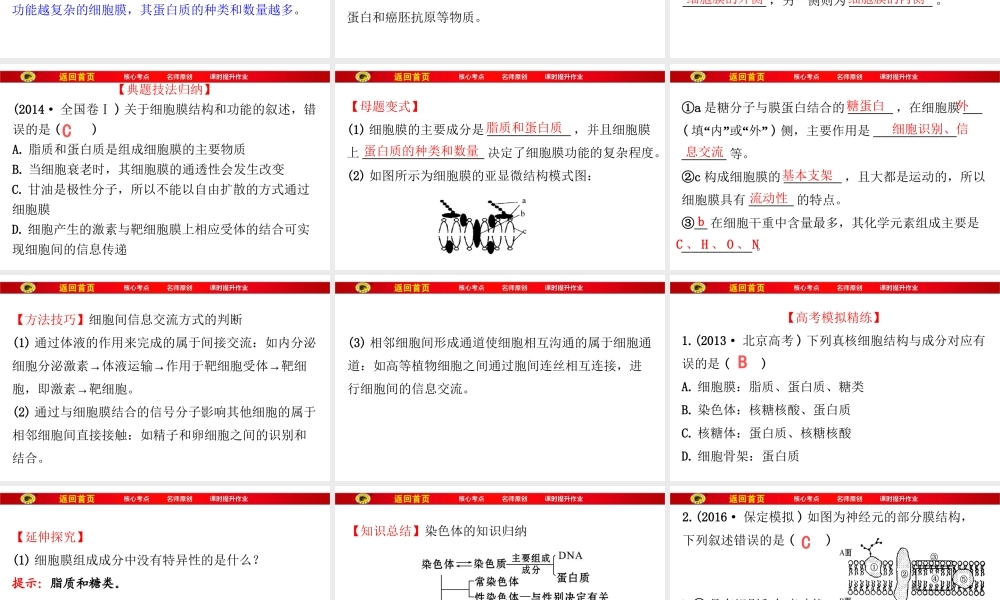 必修1第二单元第1讲细胞膜和细胞核剖析.ppt