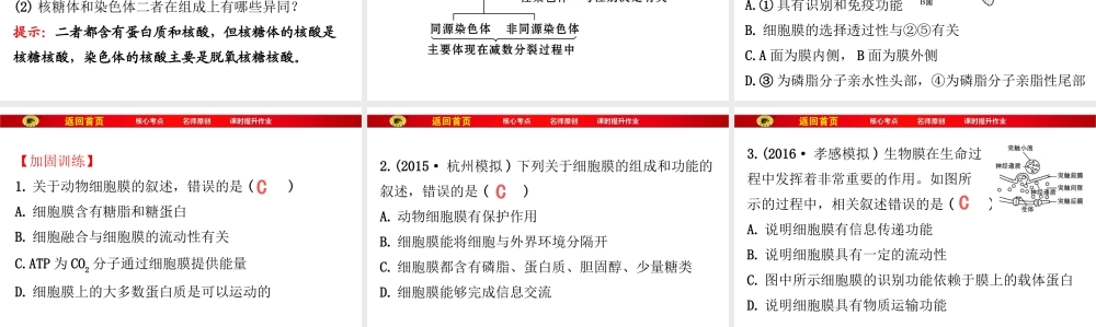 必修1第二单元第1讲细胞膜和细胞核剖析.ppt